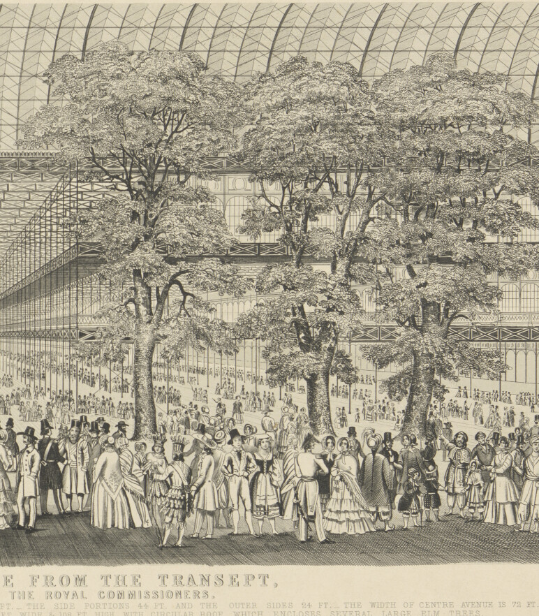 0019 GRO0093 III bomen