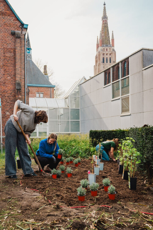 20240320 howest ta projectweek rebelgarden 06530 53600186809 o LR 3