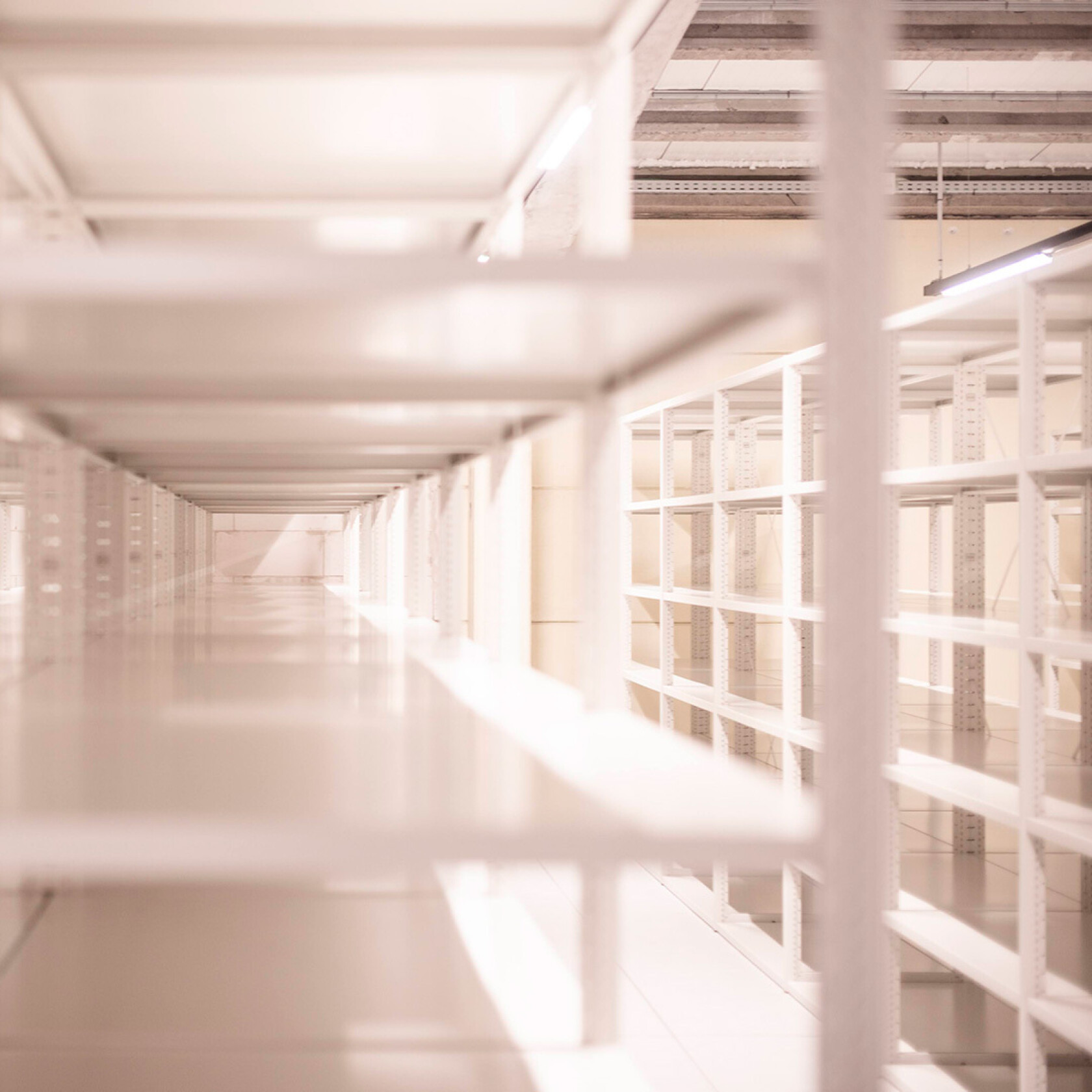 Opening Erfgoedfabriek3 Femke den Hollander Musea Brugge